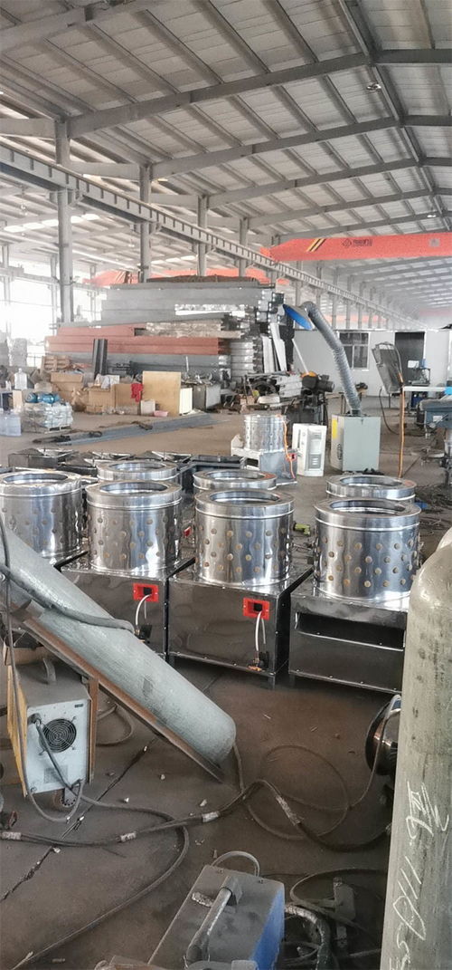 大型商用全自動(dòng)脫毛機(jī)產(chǎn)品介紹與潤(rùn)滑設(shè)備咨詢指南